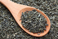 Gunpowder Green Tea